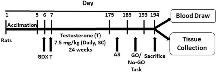 FIGURE 1