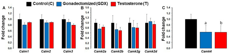 FIGURE 3