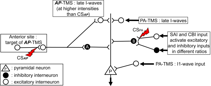 Fig. 9