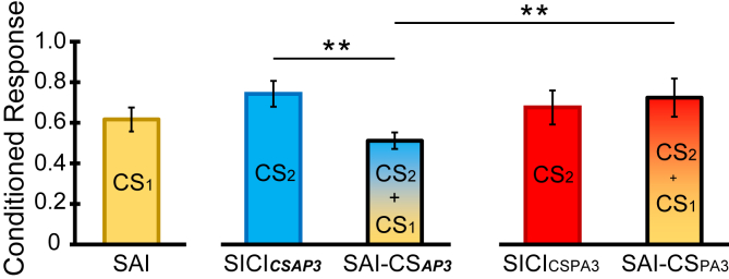 Fig. 6