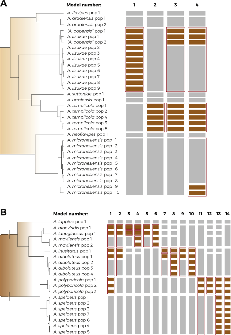 Fig. 4