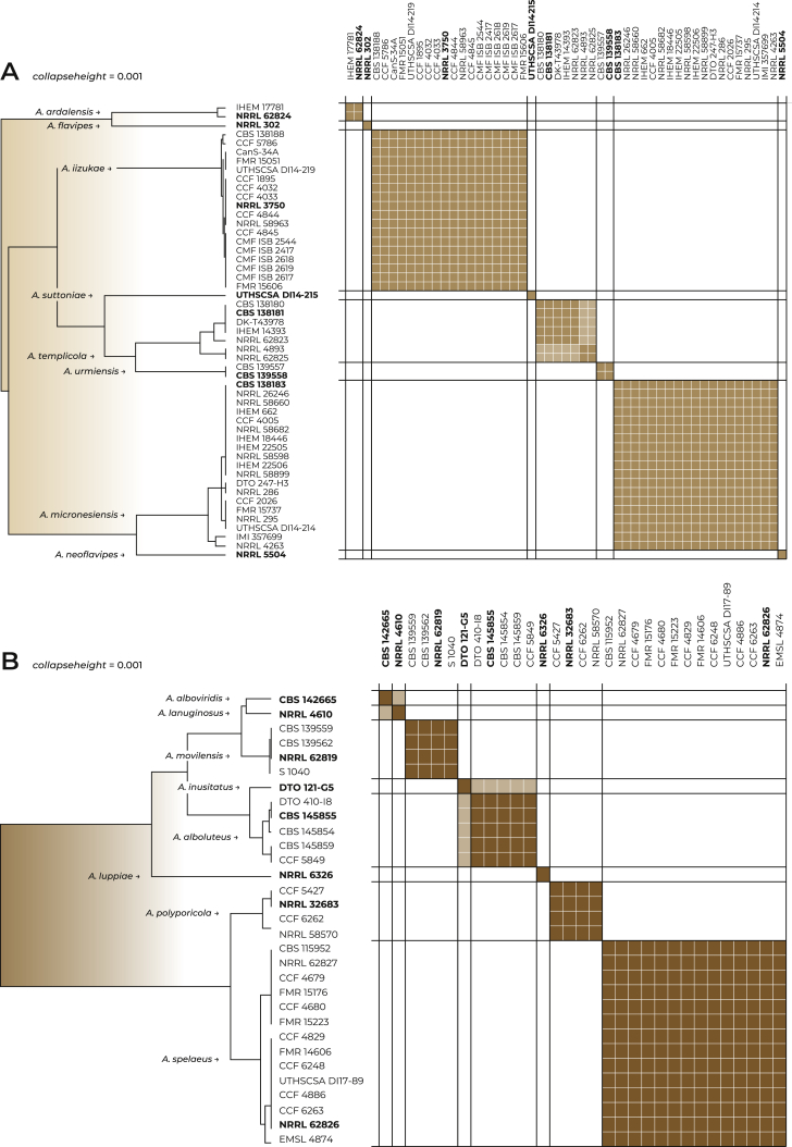 Fig. 3