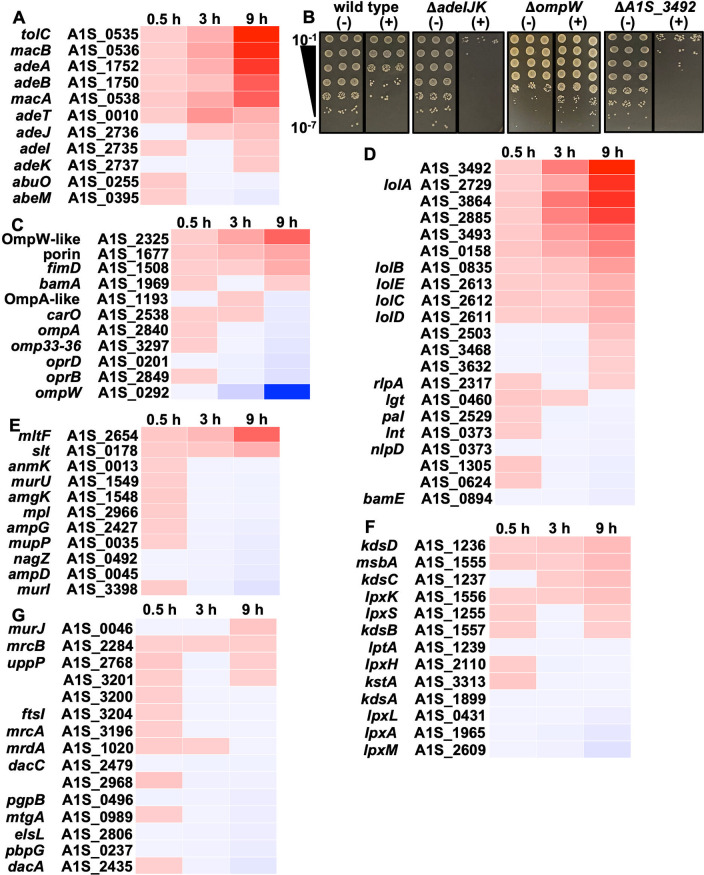 FIG 2