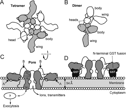 Fig. 3