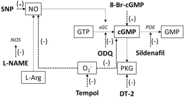 FIGURE 1