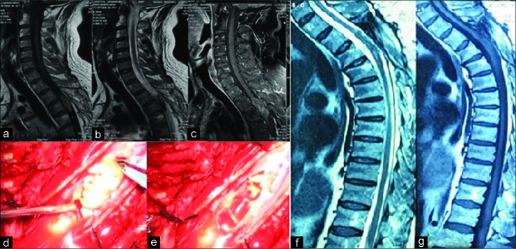 Figure 3: