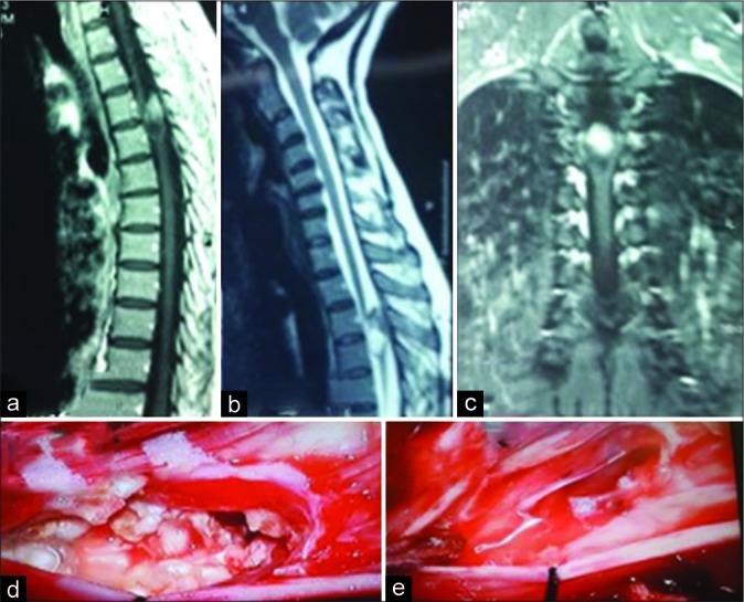 Figure 2: