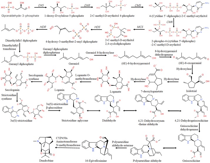 FIGURE 3