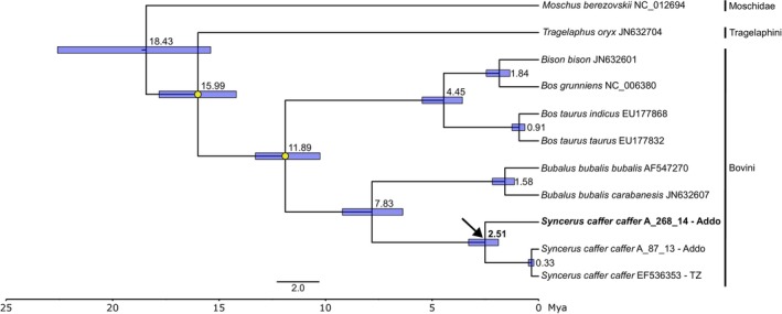 FIGURE 3