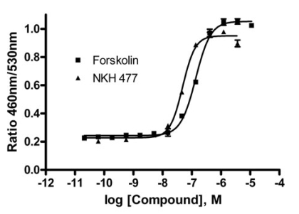 Fig (1)