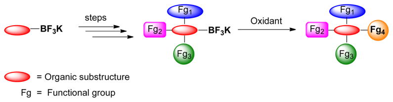 SCHEME 1