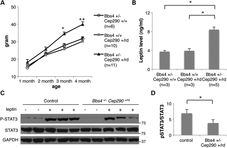 Figure 4.