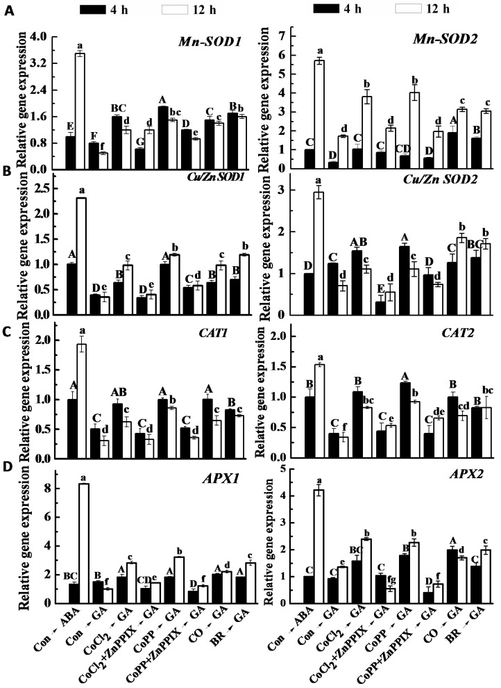 Figure 10