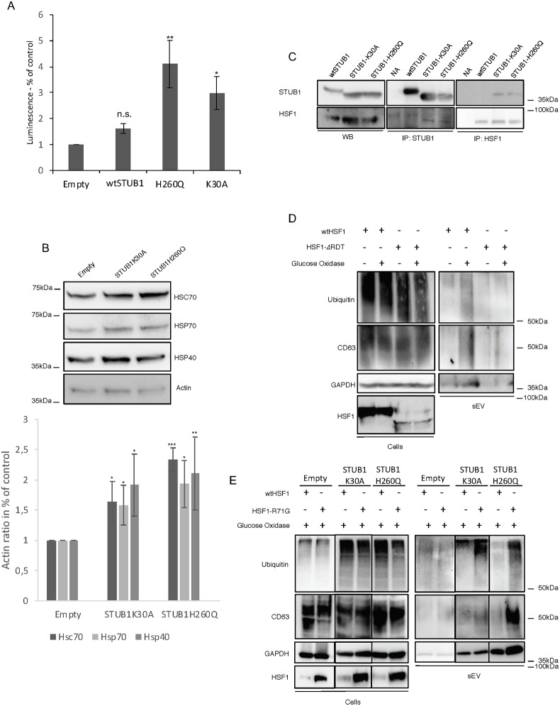 Fig 8