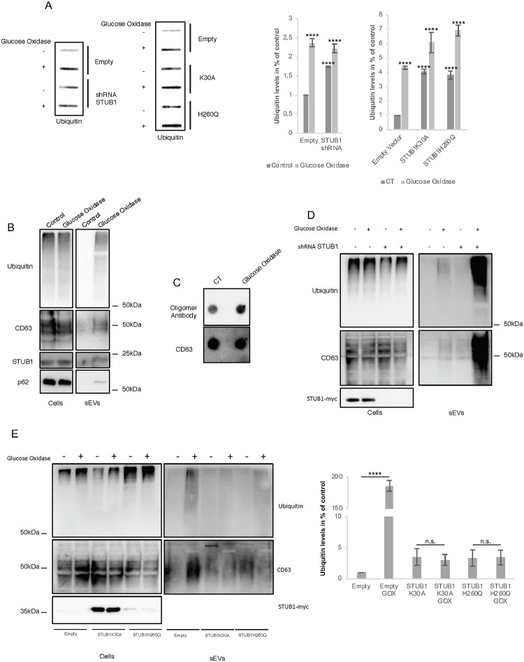 Fig 7