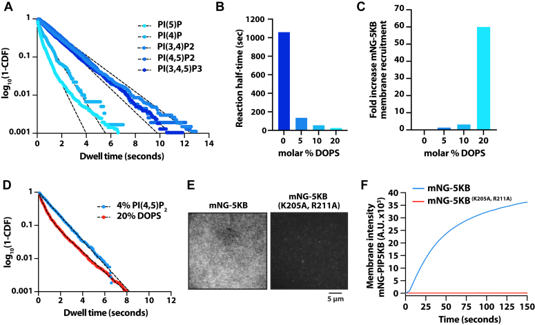 Figure 4