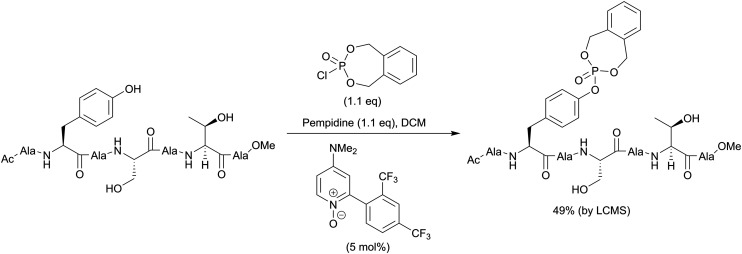 Scheme 2