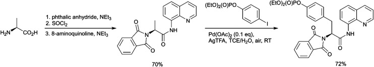 Scheme 5