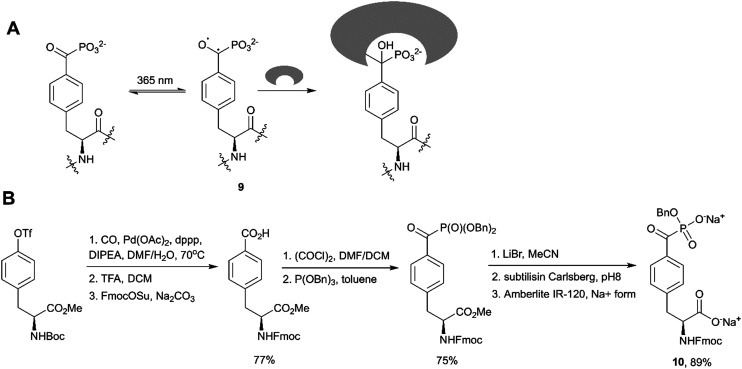 Fig. 9