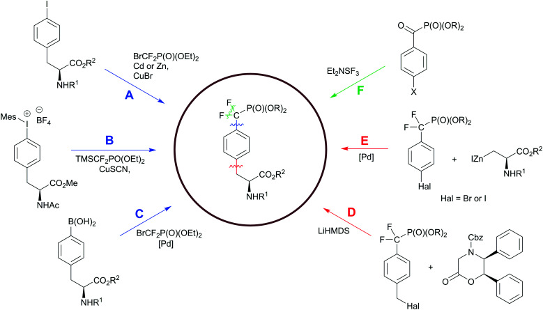 Scheme 6