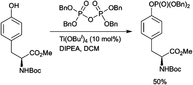 Scheme 4