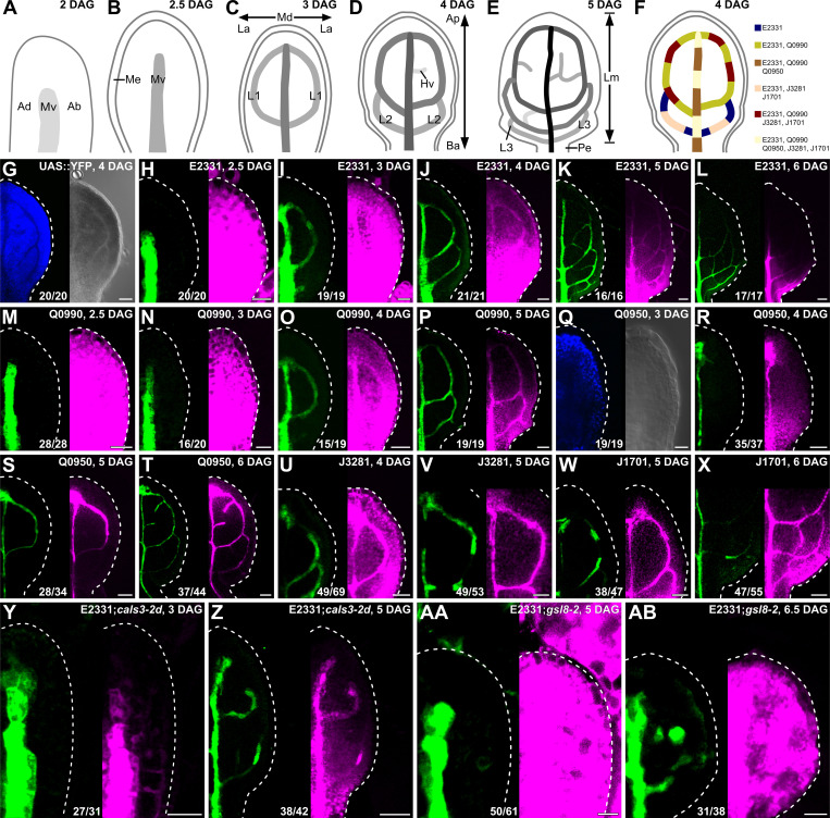 Fig 2