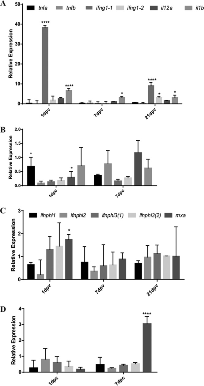 FIG 6