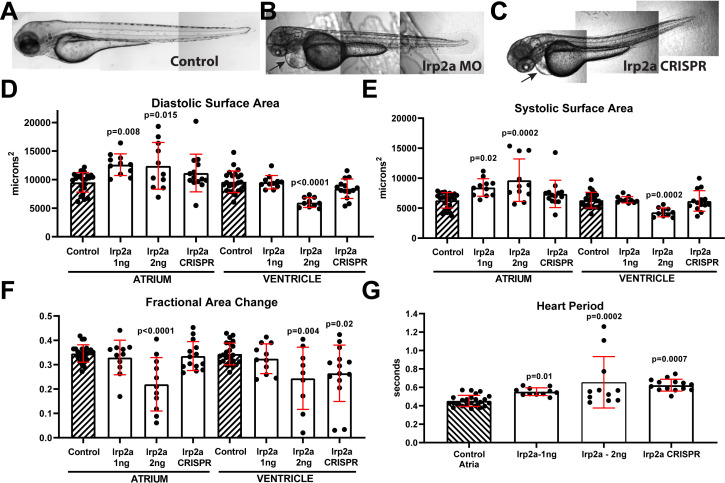 Figure 3—figure supplement 1.