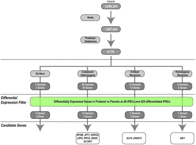 Figure 2—figure supplement 1.