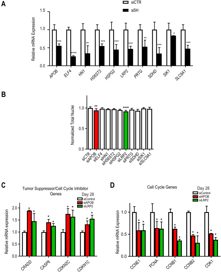 Figure 2—figure supplement 4.