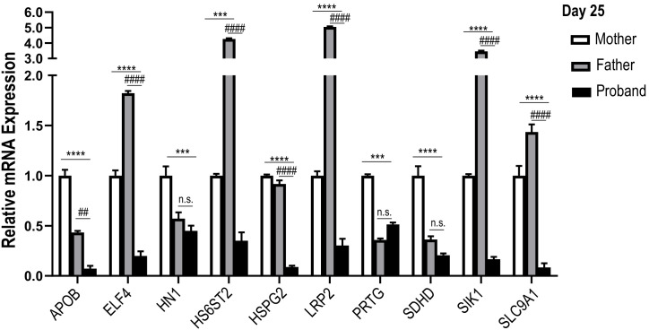 Figure 2—figure supplement 2.