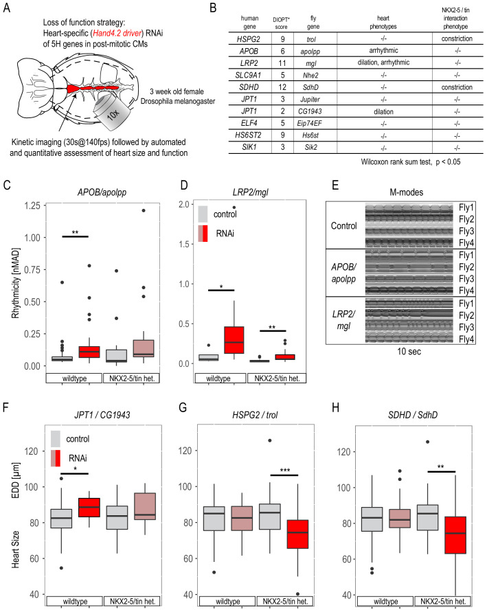 Figure 2—figure supplement 3.