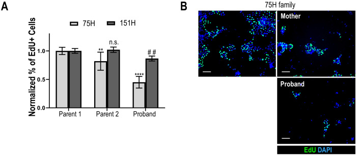 Figure 1—figure supplement 2.