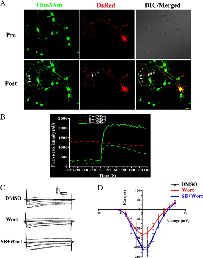 Figure 2.