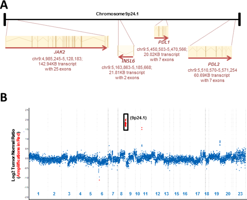 Figure 1: