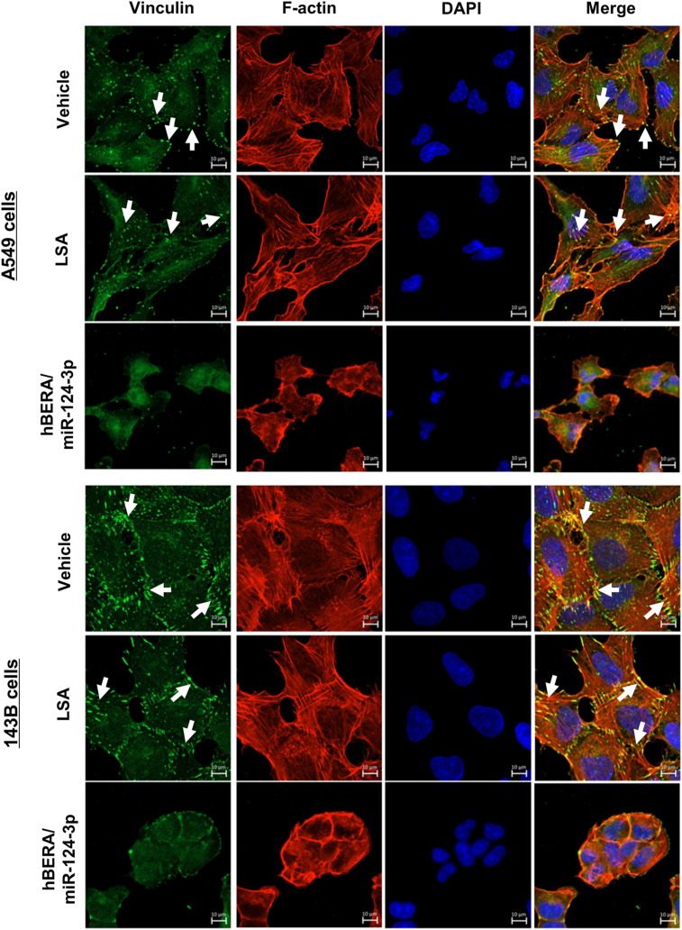 Figure 6