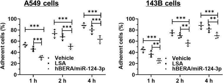 Figure 7