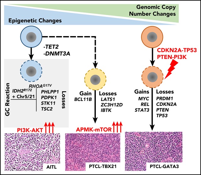 graphic file with name blood872549absf1.jpg