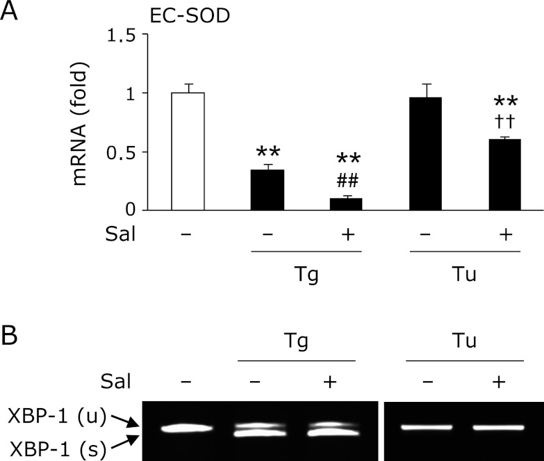 Fig. 4