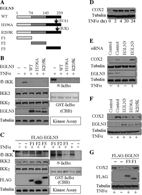 Fig 8