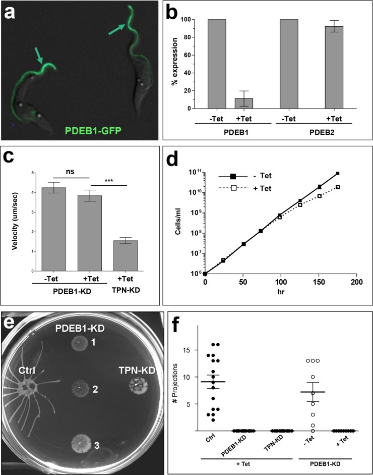 FIG 2 