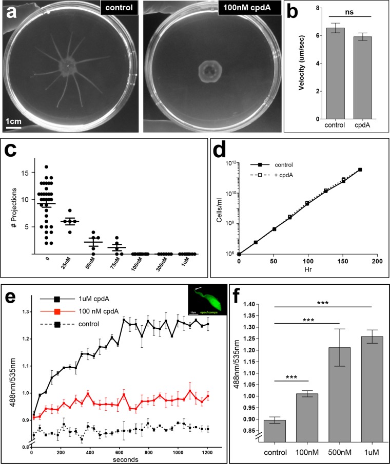 FIG 1 