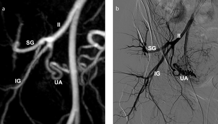 Figure 13. a, b