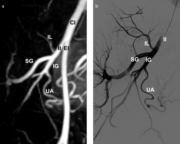 Figure 12. a, b