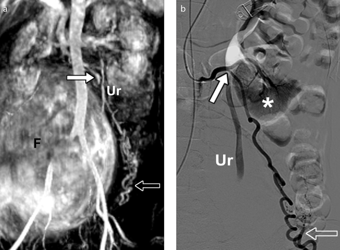 Figure 16. a, b