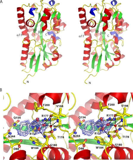 FIGURE 5.