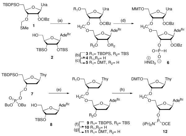 Scheme 1