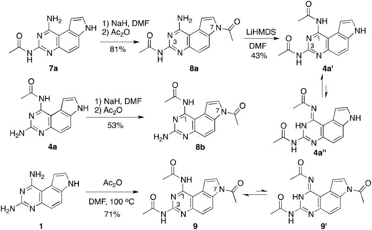 Scheme 1