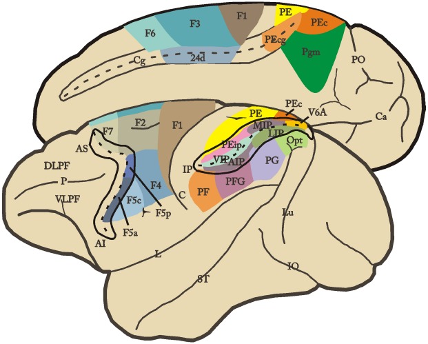 FIGURE 1