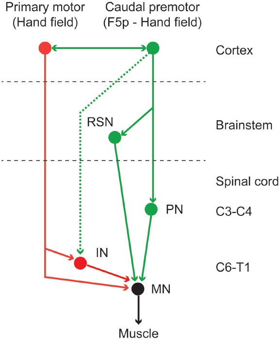 FIGURE 2